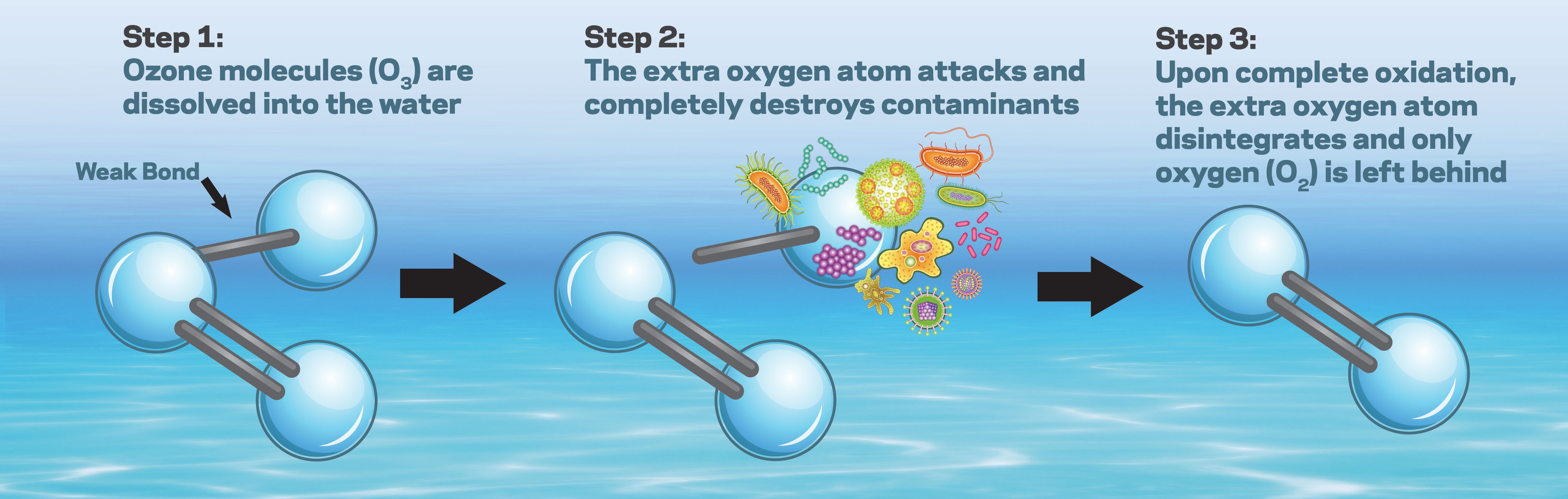 ozone_bacteria_diagram_final-web